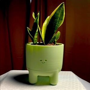 Charming Green Smiley Face Planter